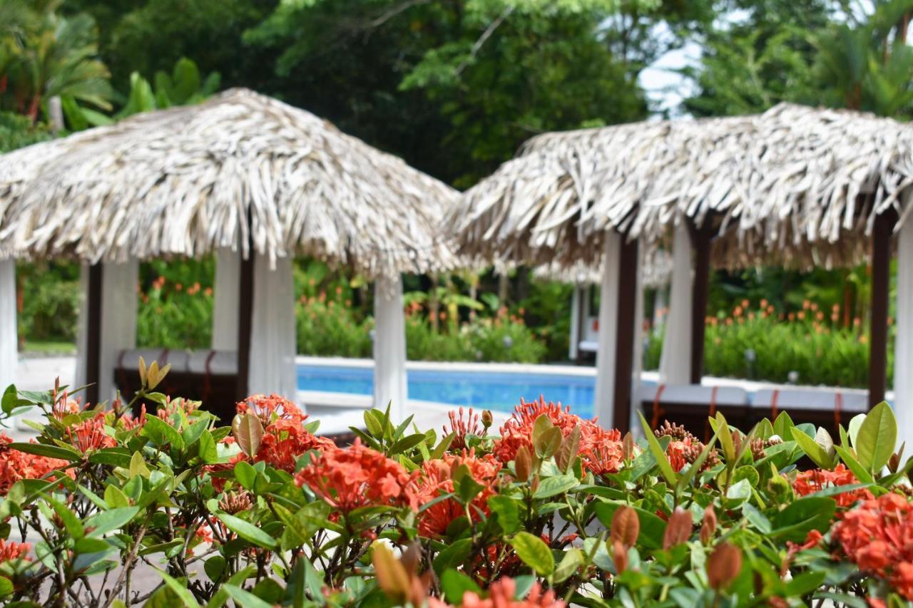 Espadilla Gardens Hotel Vườn quốc gia Vườn quốc gia Manuel Antonio Ngoại thất bức ảnh